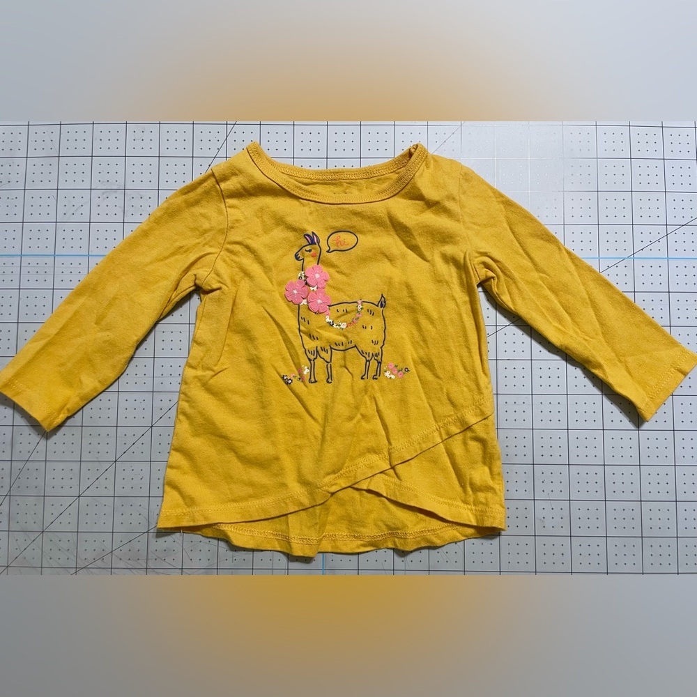 Carter’s Llama Alpaca Flower Baby Infant Toddler Long Sleeve Shirt 9M